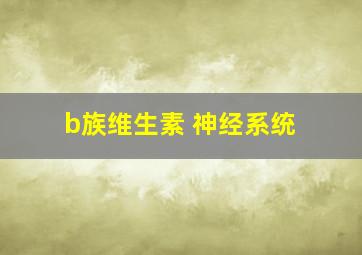 b族维生素 神经系统